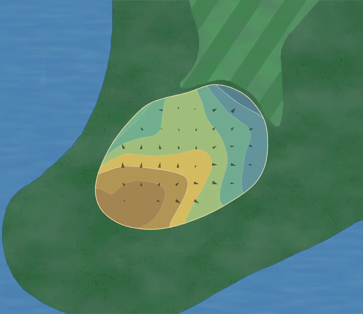 Green contour map of Travis Pointe in Ann Arbor, Michigan — 7 elevation contours at a 3-inch interval with fall-line arrows, traced from 1-meter lidar
