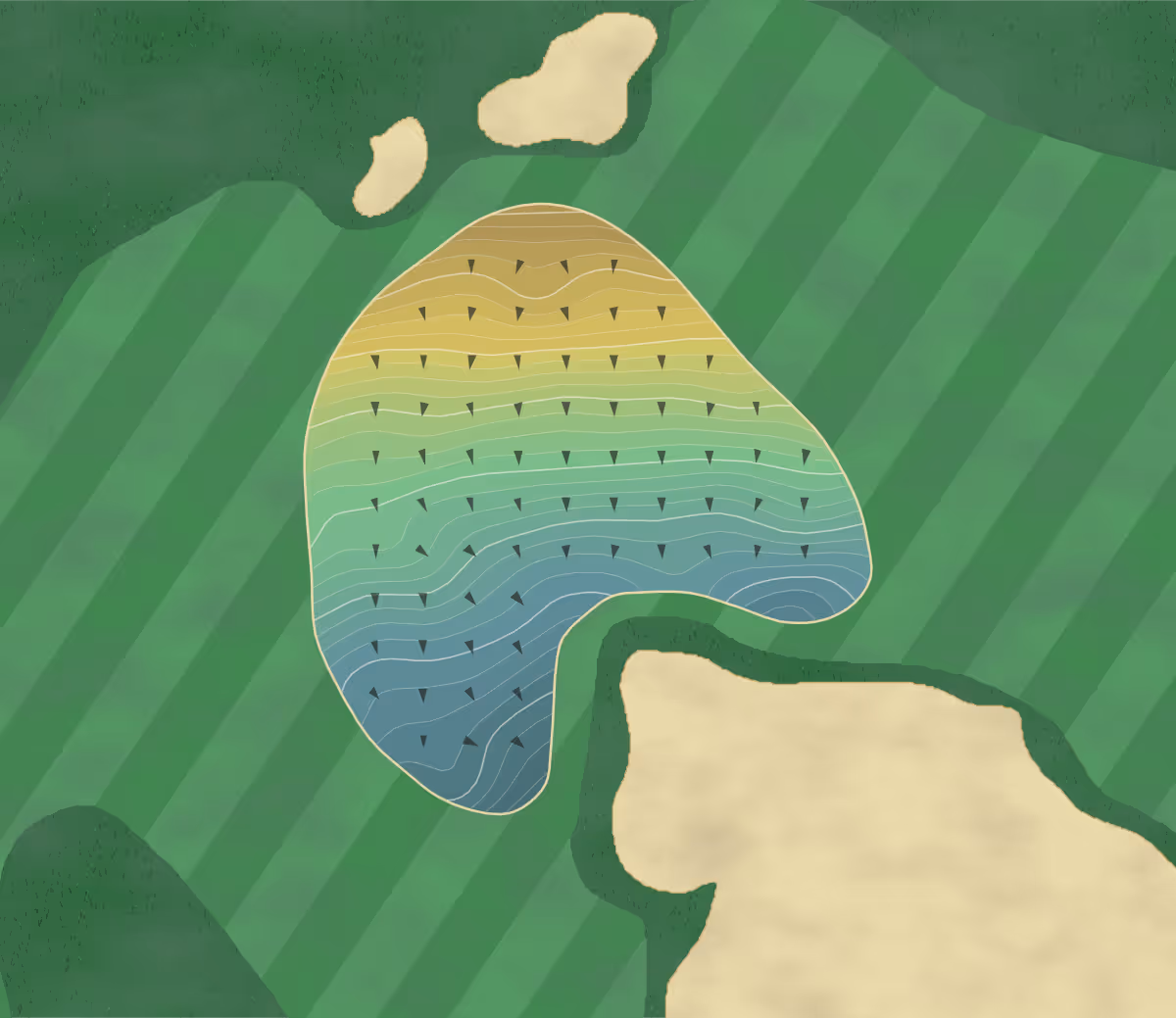 Green contour map of Tree Farm in Batesburg, South Carolina — 333 elevation contours at a 3-inch interval with fall-line arrows, traced from 1-meter lidar