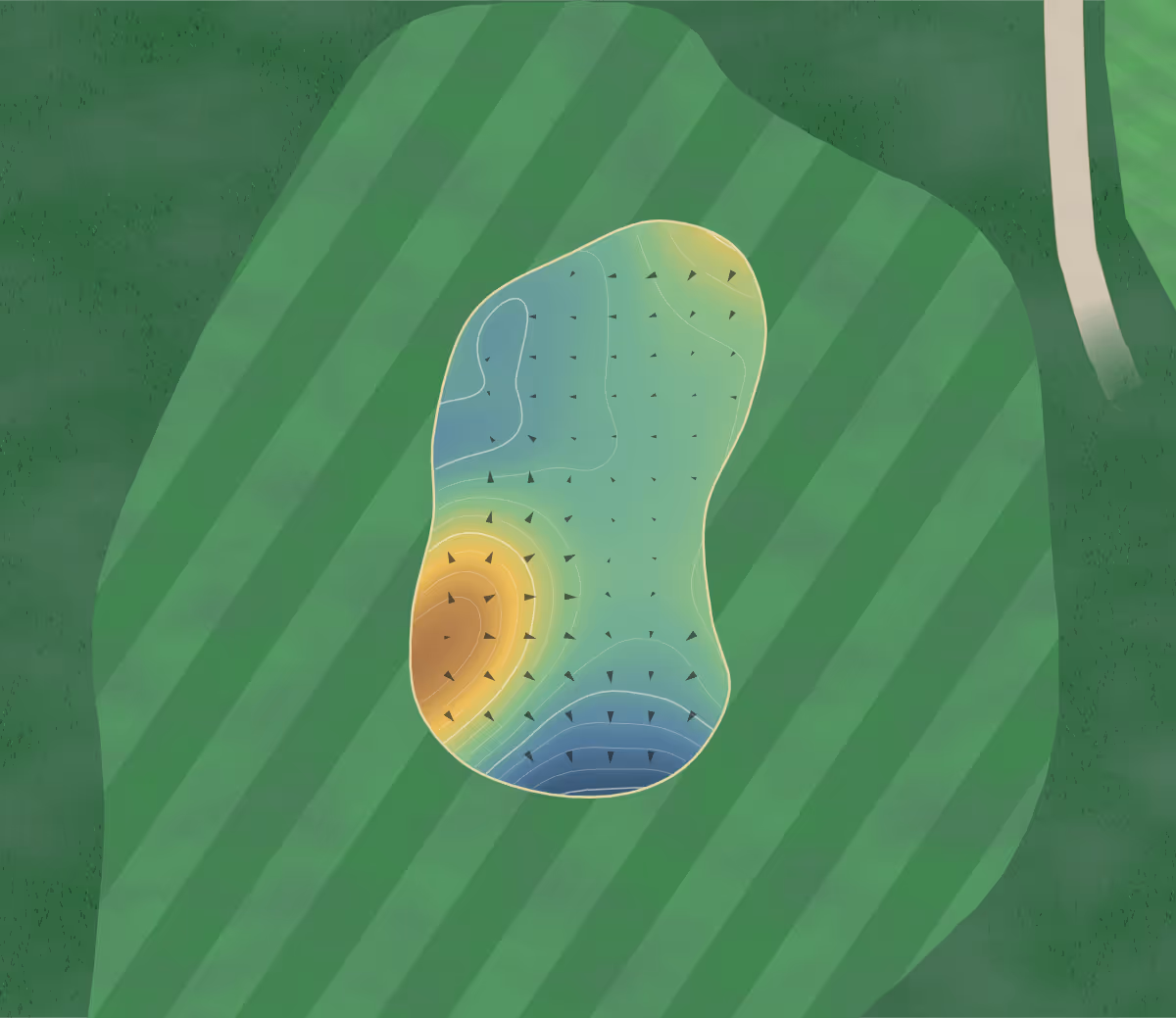 Green contour map of Treloy in Newquay, England: 73 elevation contours at a 8-centimeter interval with fall-line arrows, traced from 1-meter lidar
