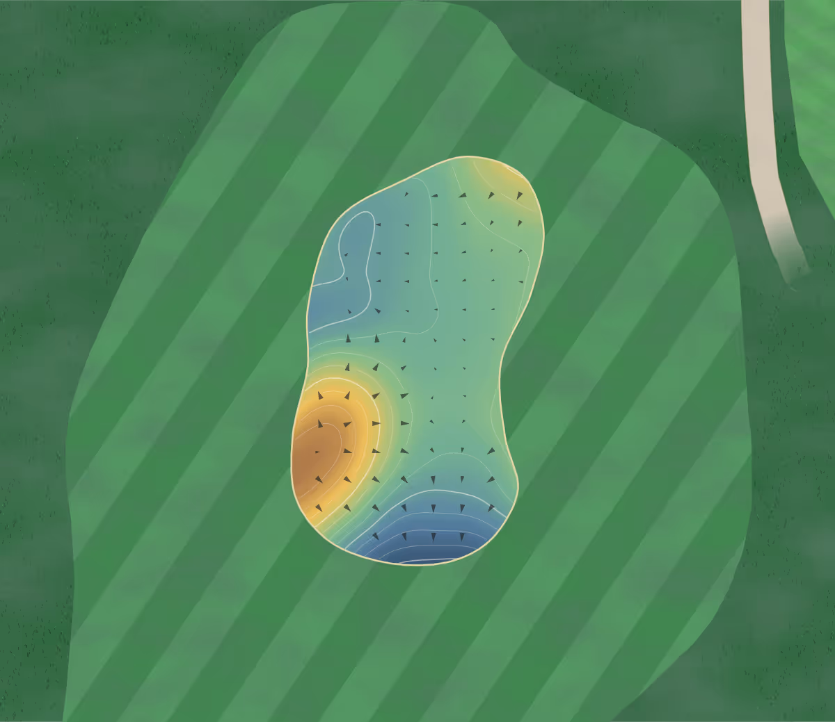 Green contour map of Treloy in Newquay, England — 73 elevation contours at a 8-centimeter interval with fall-line arrows, traced from 1-meter lidar