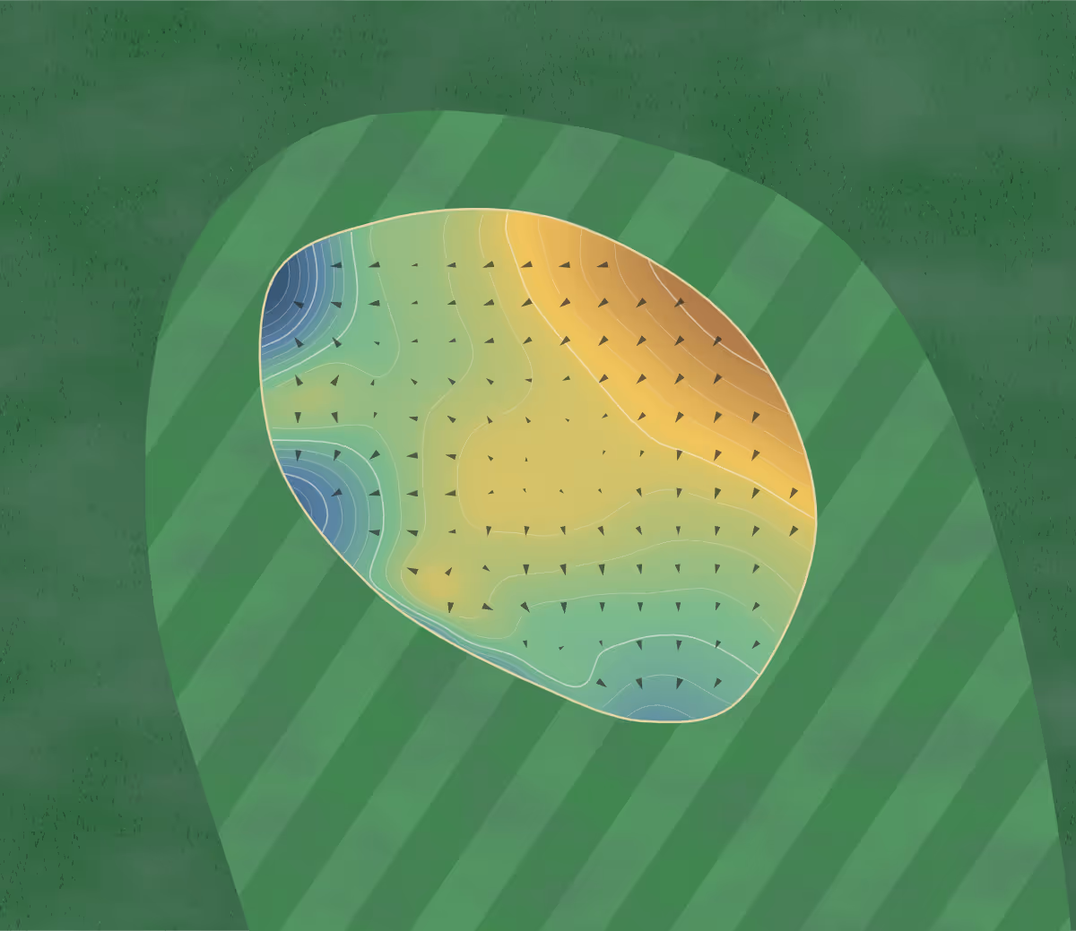 Green contour map of Trevose in Padstow, England — 250 elevation contours at a 8-centimeter interval with fall-line arrows, traced from 1-meter lidar
