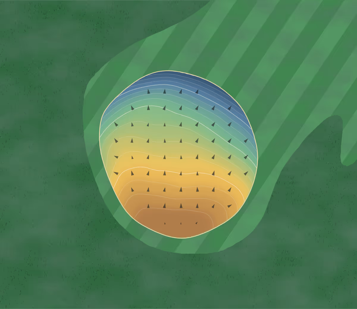 Green contour map of Tri-Cities in Blountville, Tennessee: 325 elevation contours at a 3-inch interval with fall-line arrows, traced from 1-meter lidar