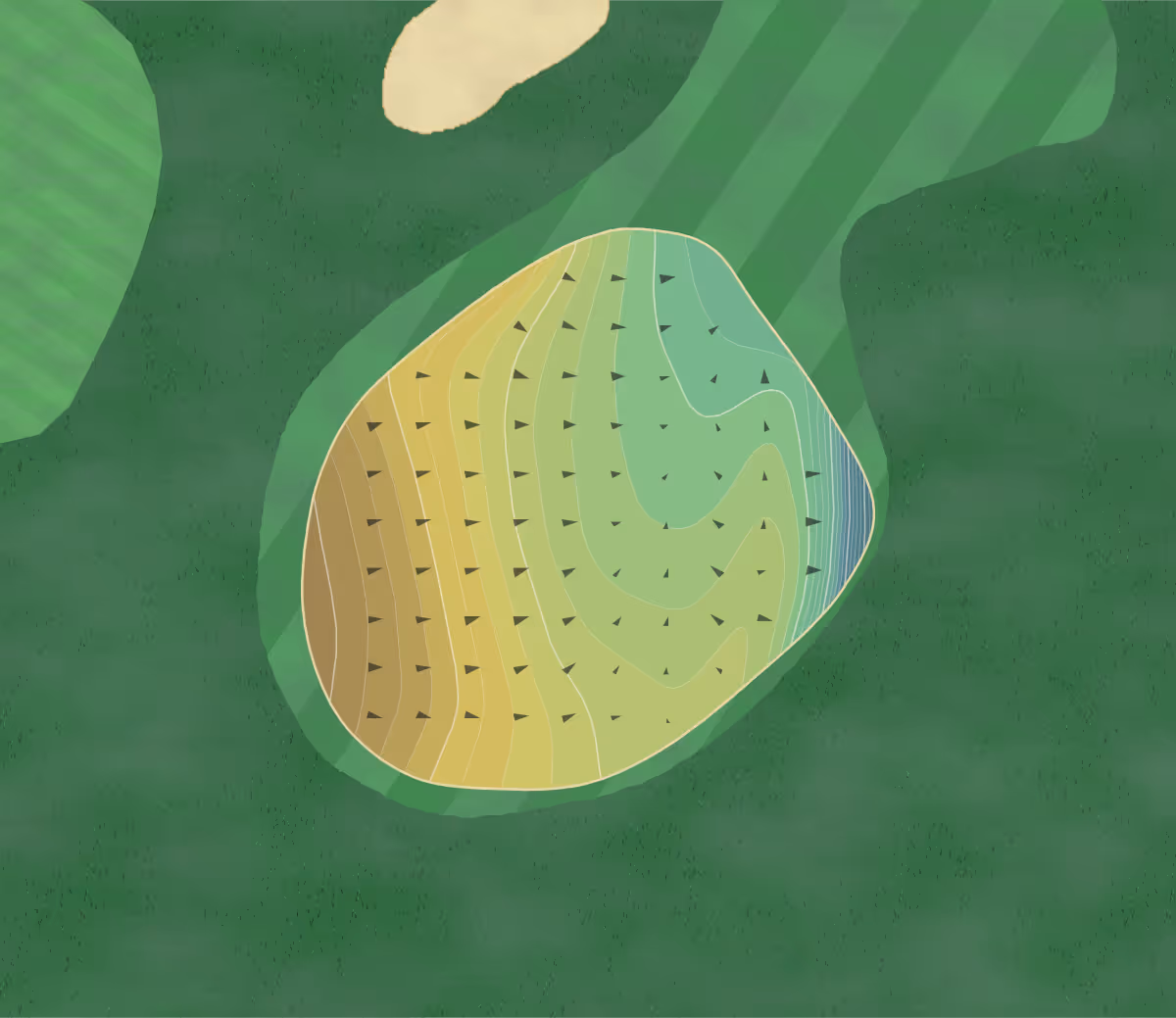 Green contour map of Triggs Memorial in Providence, Rhode Island — 218 elevation contours at a 3-inch interval with fall-line arrows, traced from 1-meter lidar