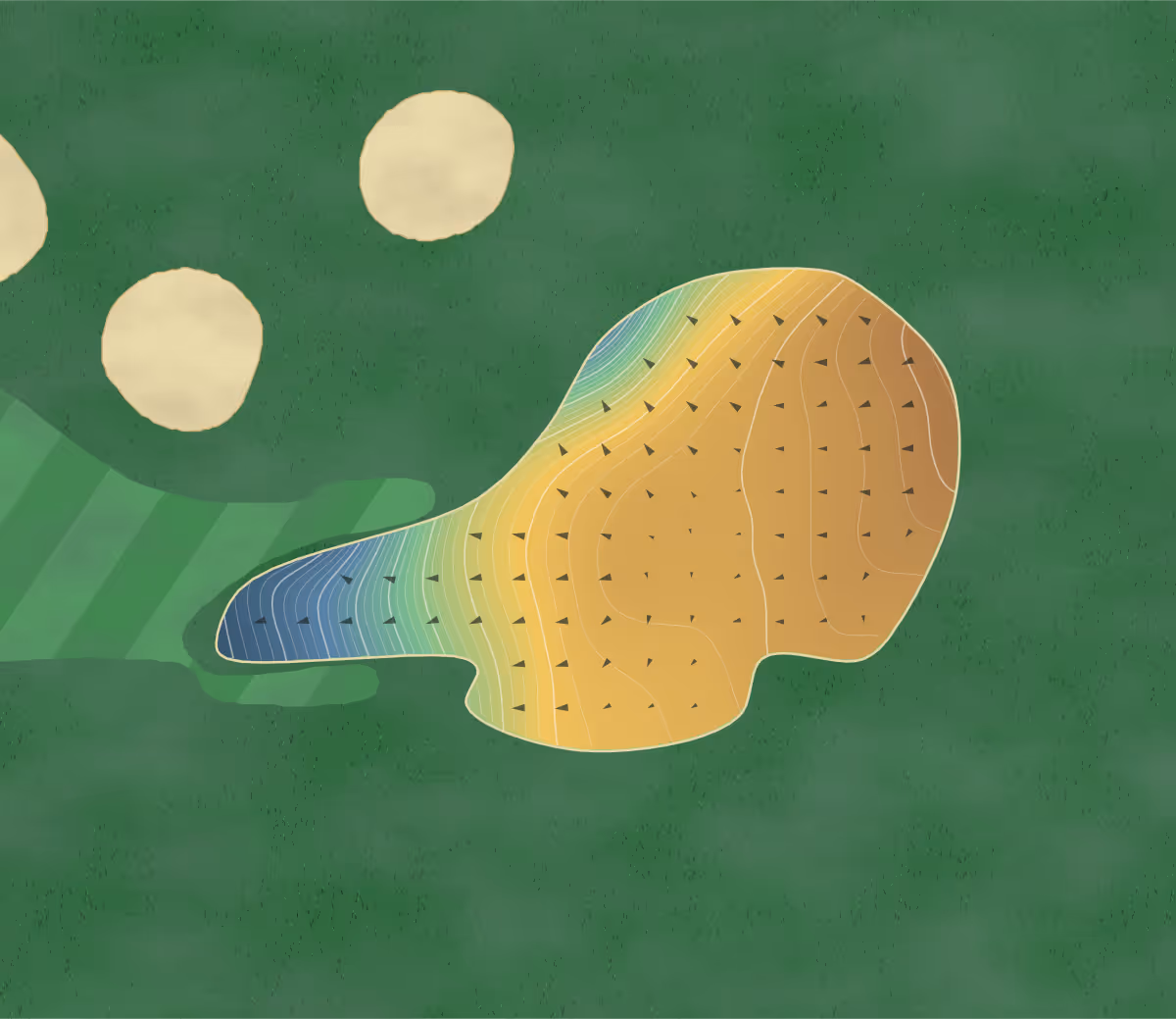Green contour map of Trillium Wood in Belleville, Canada — 313 elevation contours at a 8-centimeter interval with fall-line arrows, traced from 1-meter lidar