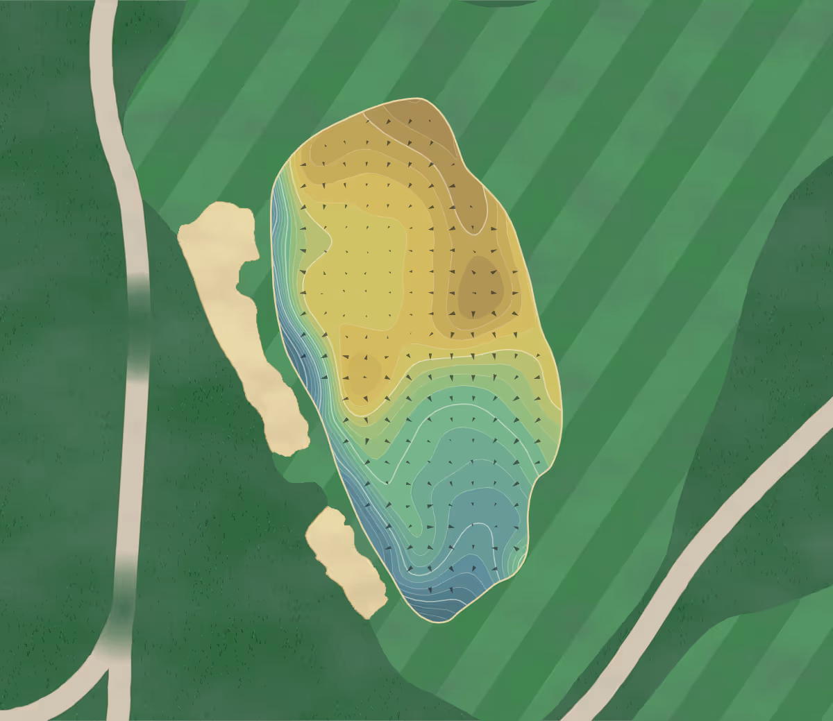 Green contour map of Trinity Forest in Dallas, Texas — 364 elevation contours at a 3-inch interval with fall-line arrows, traced from 1-meter lidar