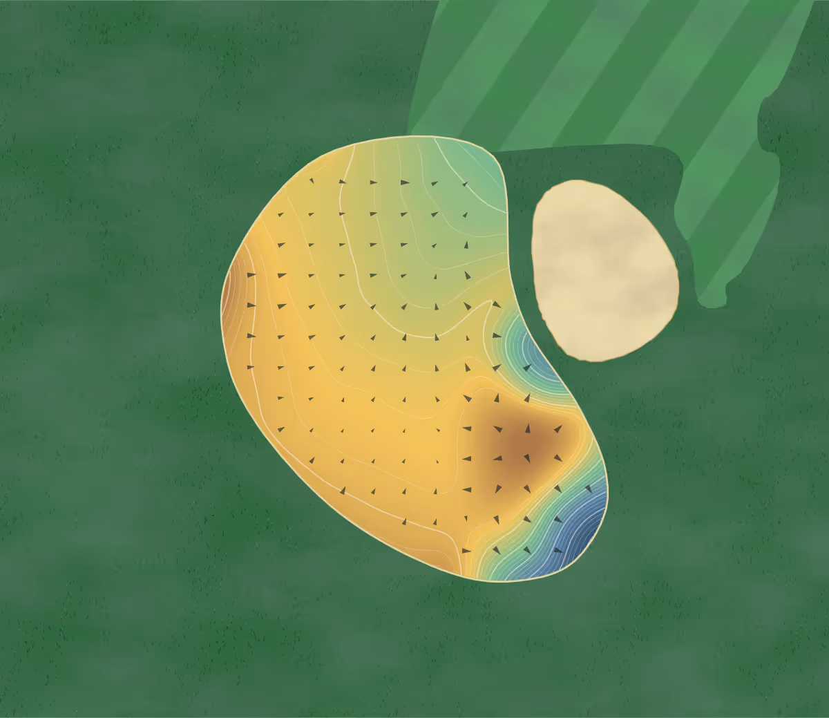 Green contour map of Troubadour in Franklin, Tennessee: 504 elevation contours at a 3-inch interval with fall-line arrows, traced from 1-meter lidar