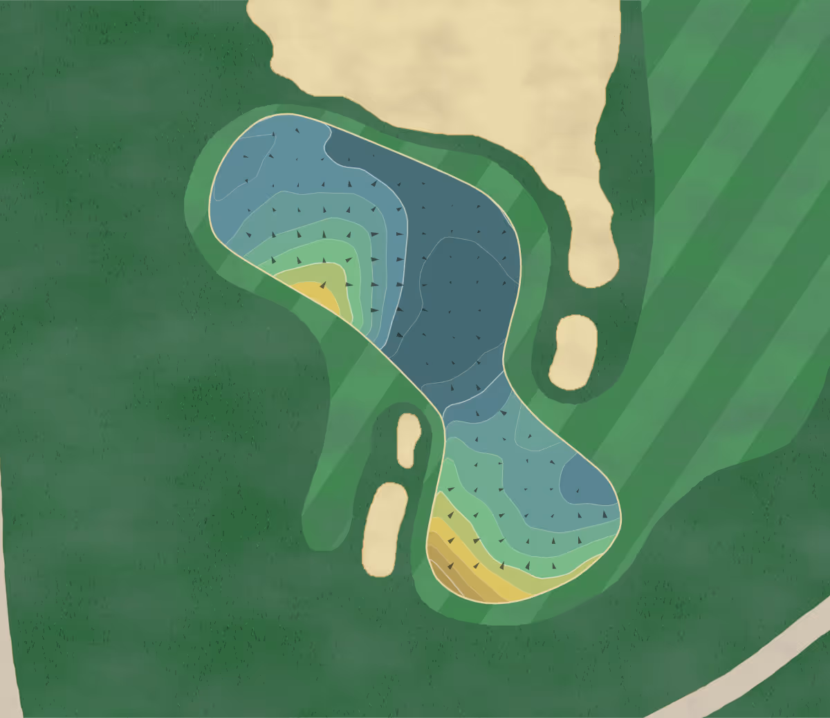 Green contour map of True Blue in Pawley's Island, South Carolina — 225 elevation contours at a 3-inch interval with fall-line arrows, traced from 1-meter lidar