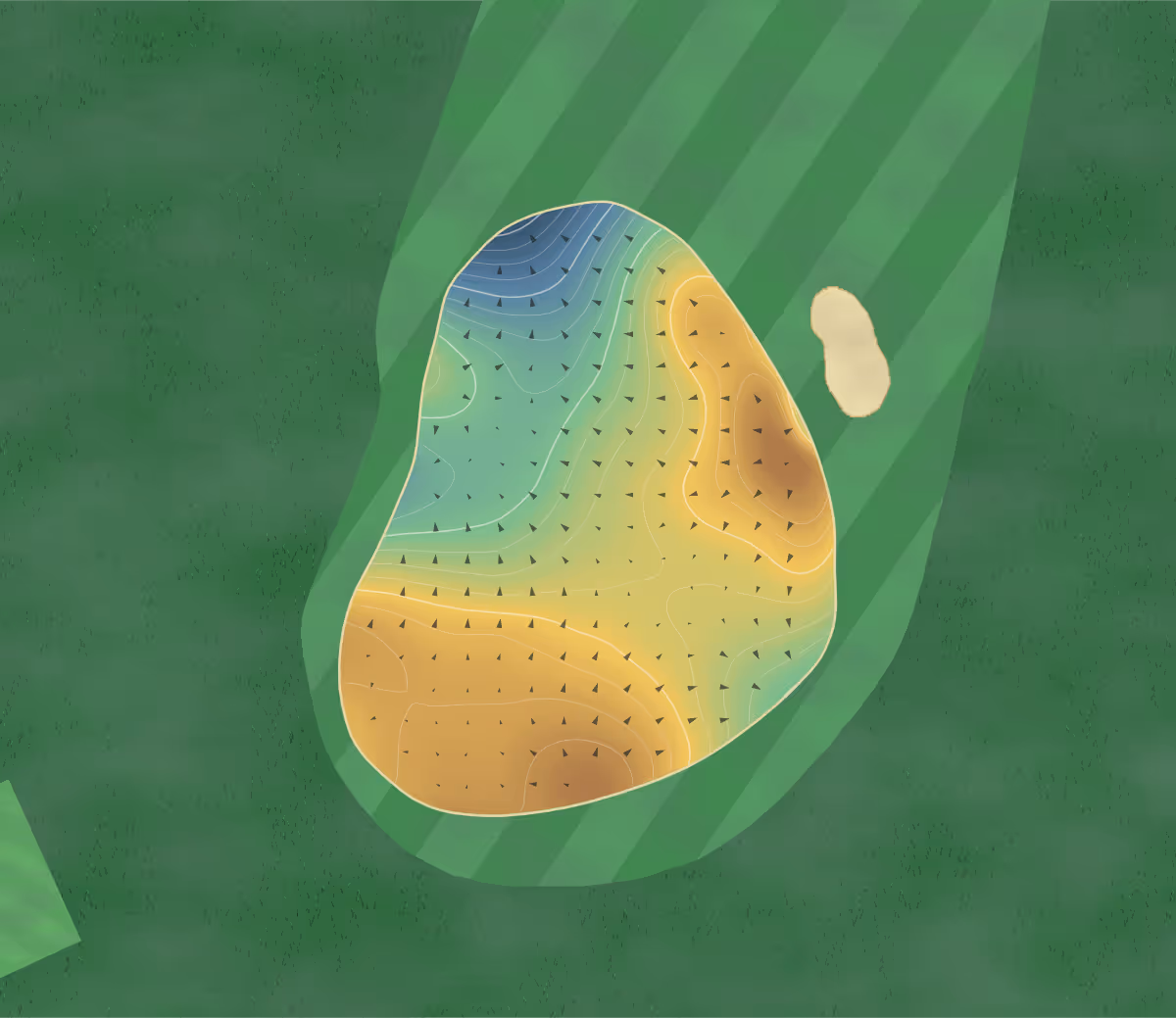 Green contour map of Trump Turnberry Golf Course - King Robert the Bruce in Girvan, Scotland: 76 elevation contours at a 8-centimeter interval with fall-line arrows, traced from 1-meter lidar