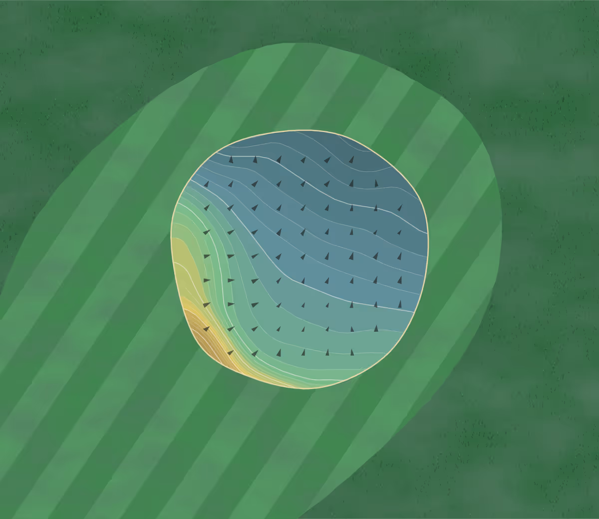 Green contour map of Truro GC in Truro, England — 279 elevation contours at a 8-centimeter interval with fall-line arrows, traced from 1-meter lidar