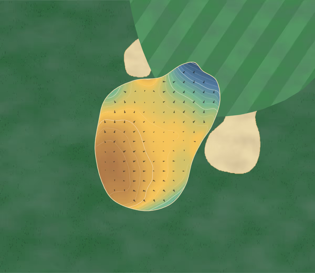 Green contour map of Tulliallan in Alloa, Scotland: 212 elevation contours at a 8-centimeter interval with fall-line arrows, traced from 1-meter lidar