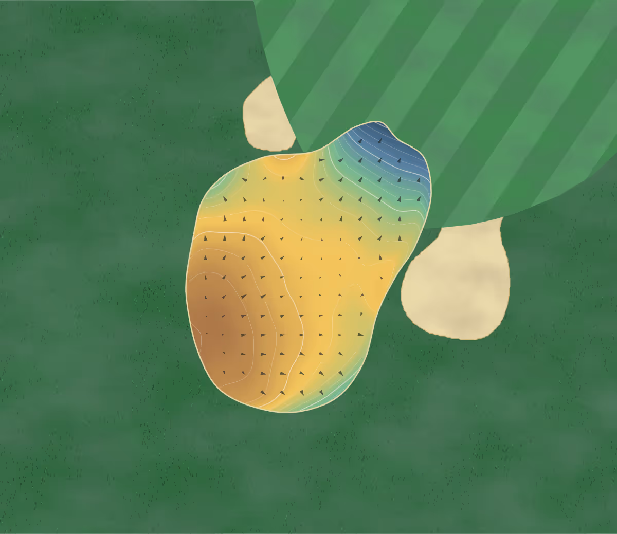 Green contour map of Tulliallan in Alloa, Scotland — 197 elevation contours at a 8-centimeter interval with fall-line arrows, traced from 1-meter lidar