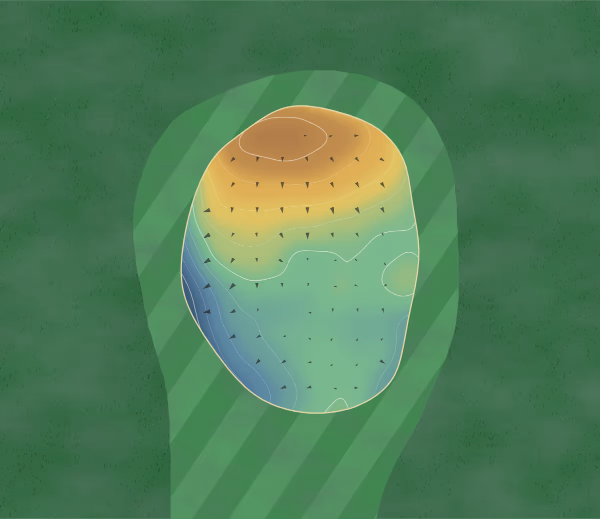 Green contour map of Tuncurry in Tuncurry, Australia — 128 elevation contours at a 8-centimeter interval with fall-line arrows, traced from 1-meter lidar