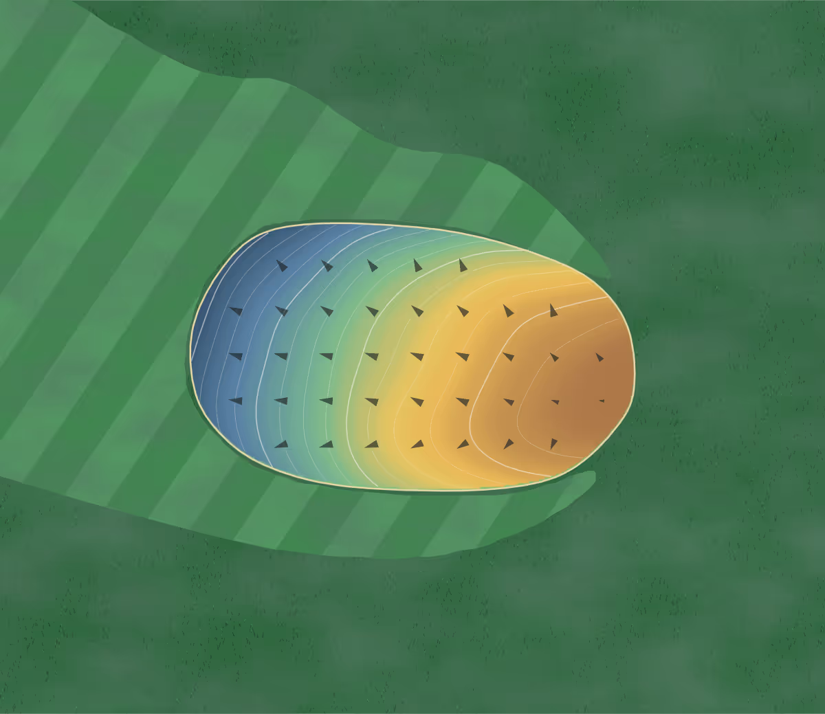 Green contour map of Tunnel Hill in Tunnel Hill, Georgia: 80 elevation contours at a 3-inch interval with fall-line arrows, traced from 1-meter lidar