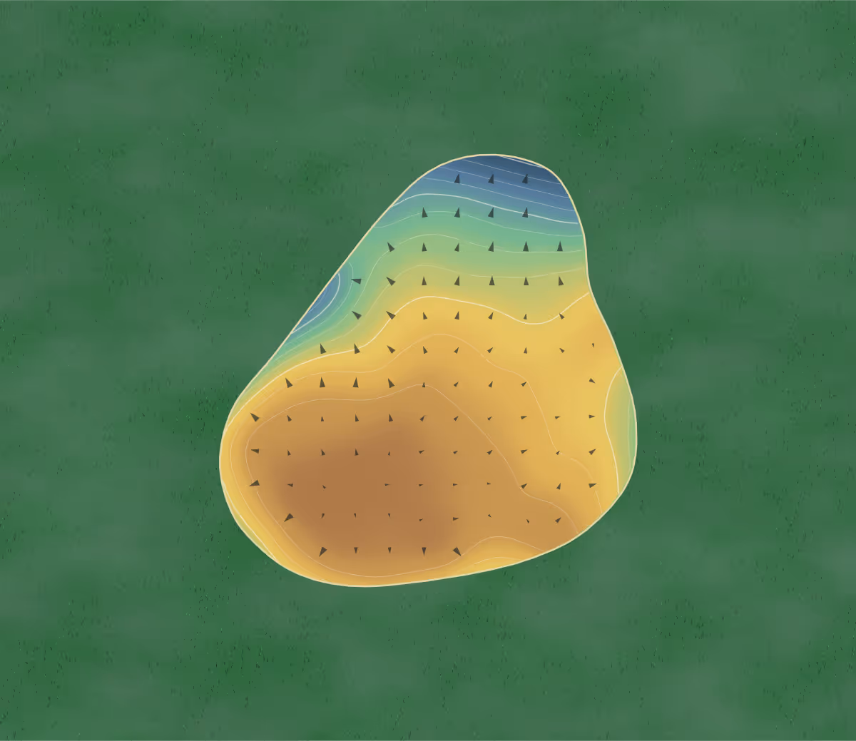 Green contour map of Turangi in Tūrangi, New Zealand — 183 elevation contours at a 8-centimeter interval with fall-line arrows, traced from 1-meter lidar