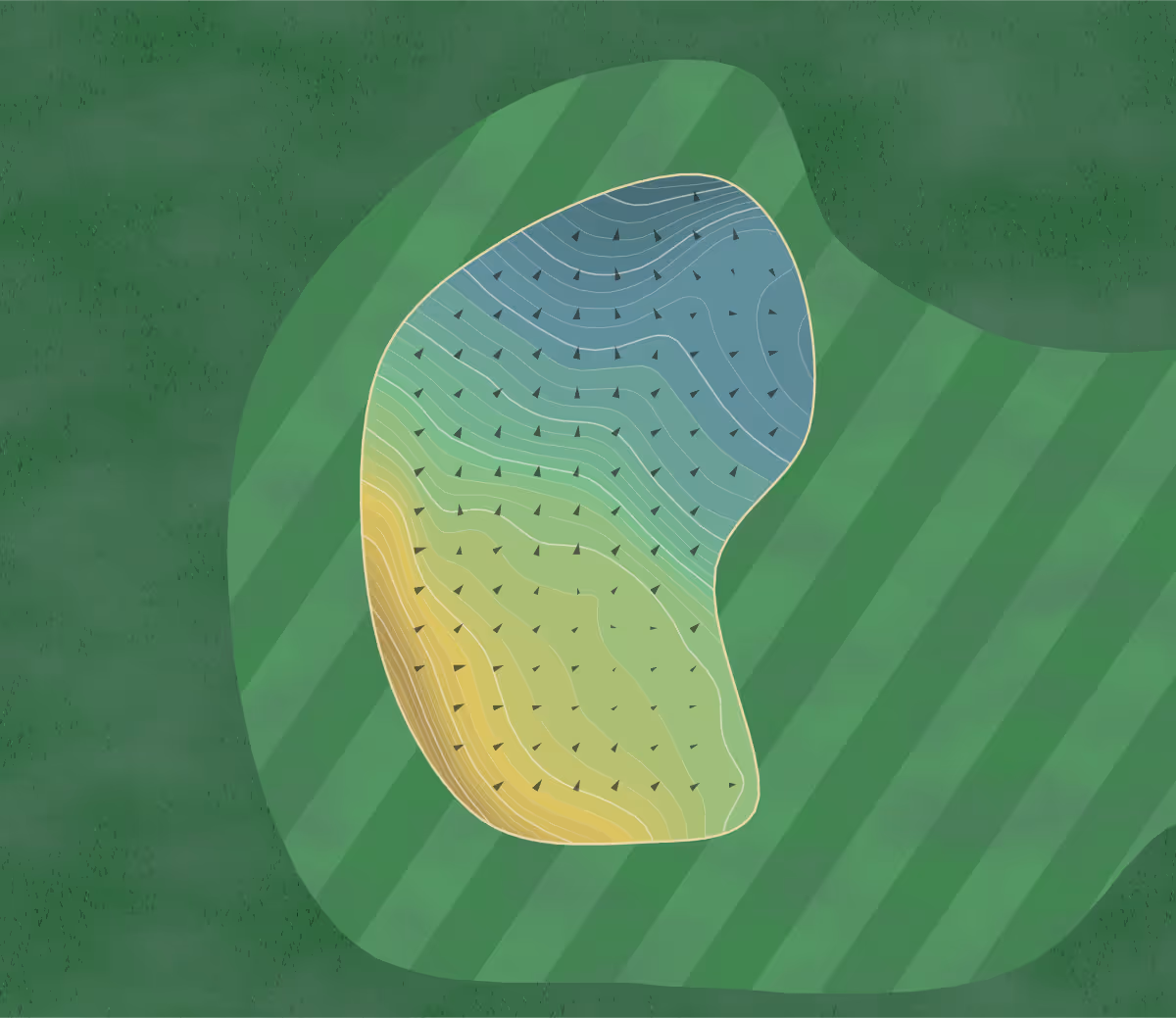 Green contour map of Turtle Hill in Muenster, Texas — 370 elevation contours at a 3-inch interval with fall-line arrows, traced from 1-meter lidar