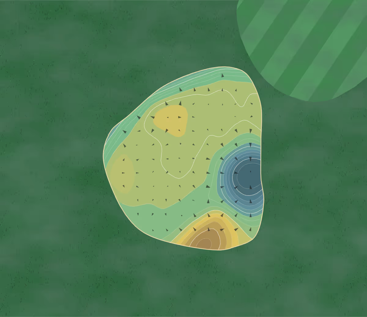 Green contour map of Twin Hickory in Hornell, New York — 229 elevation contours at a 3-inch interval with fall-line arrows, traced from 1-meter lidar