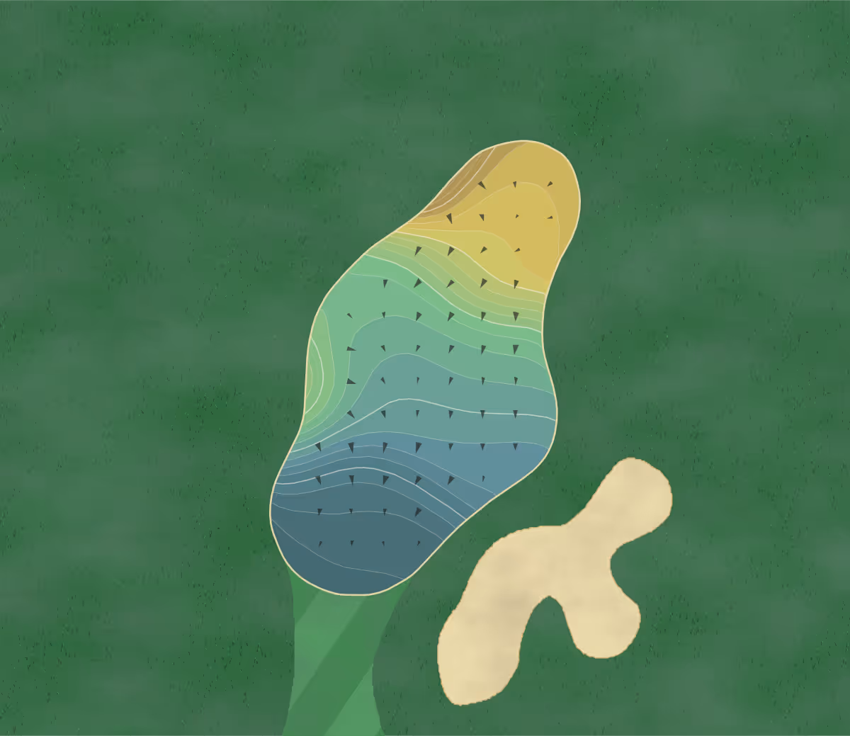 Green contour map of Twin Oaks in San Marcos, California — 238 elevation contours at a 3-inch interval with fall-line arrows, traced from 1-meter lidar