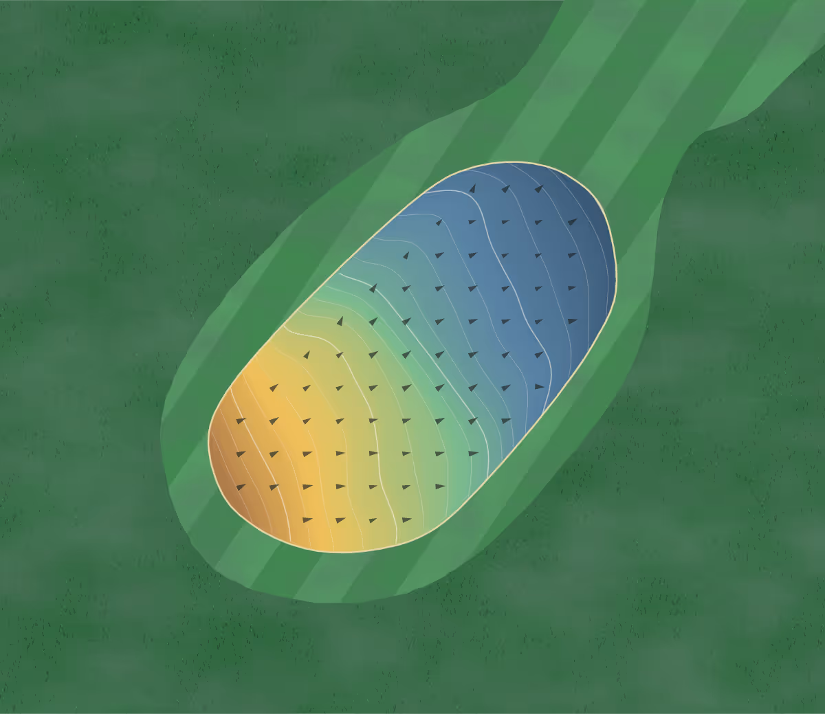 Green contour map of Tyler Golf Club in Tyler, Minnesota: 172 elevation contours at a 3-inch interval with fall-line arrows, traced from 1-meter lidar