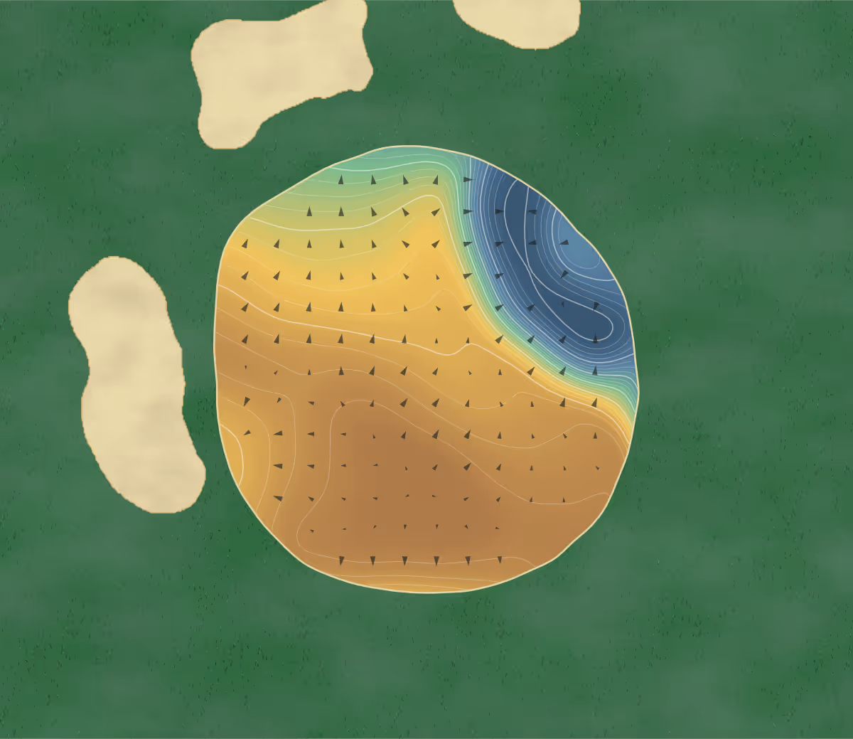 Green contour map of United States Academy in Annapolis, Maryland — 260 elevation contours at a 3-inch interval with fall-line arrows, traced from 1-meter lidar