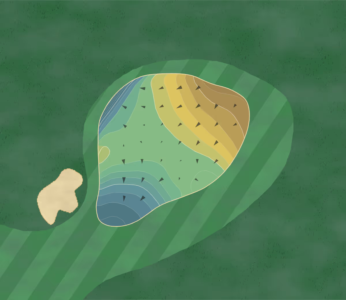 Green contour map of UT Golf Club in Austin, Texas — 206 elevation contours at a 3-inch interval with fall-line arrows, traced from 1-meter lidar
