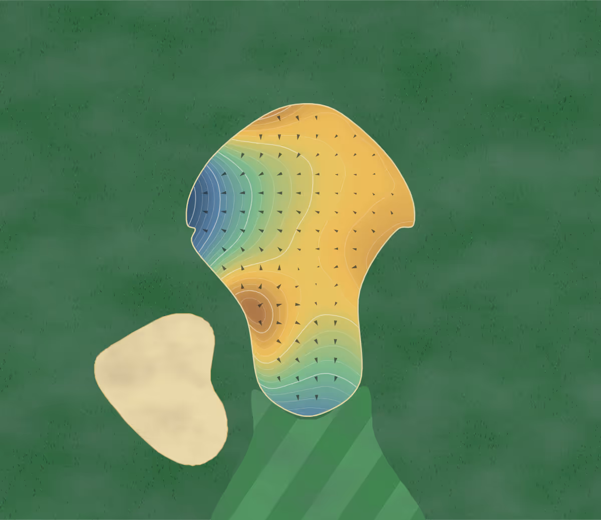 Green contour map of Vernon in Vernon, Canada: 298 elevation contours at a 8-centimeter interval with fall-line arrows, traced from 1-meter lidar