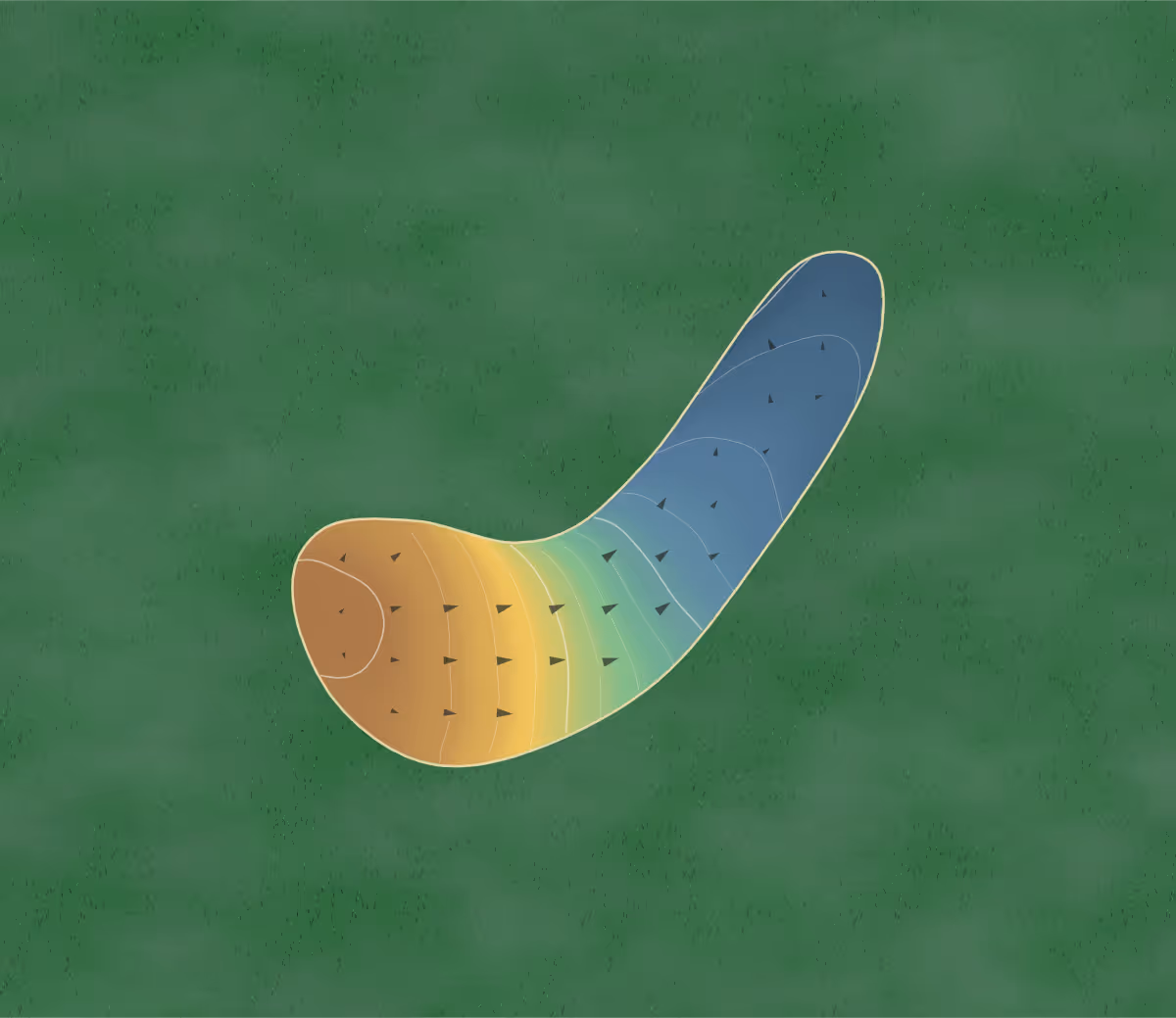 Green contour map of Vic Hadfield in Brampton, Canada: 13 elevation contours at a 8-centimeter interval with fall-line arrows, traced from 1-meter lidar