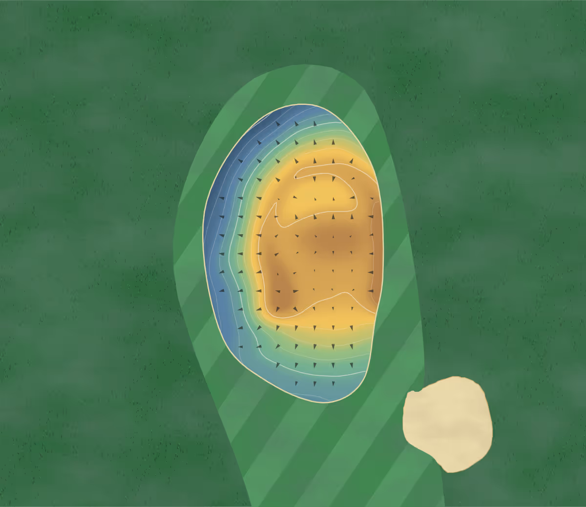 Green contour map of Victoria Beach in Victoria Beach, Canada — 75 elevation contours at a 8-centimeter interval with fall-line arrows, traced from 1-meter lidar