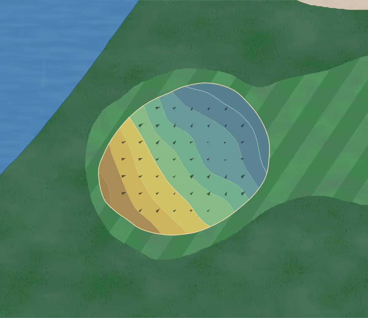 Green contour map of Viking Meadows in Cedar, Minnesota — 80 elevation contours at a 3-inch interval with fall-line arrows, traced from 1-meter lidar