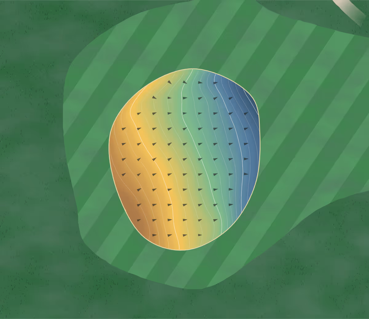 Green contour map of Wabaunsee Pines in Alma, Kansas — 105 elevation contours at a 3-inch interval with fall-line arrows, traced from 1-meter lidar