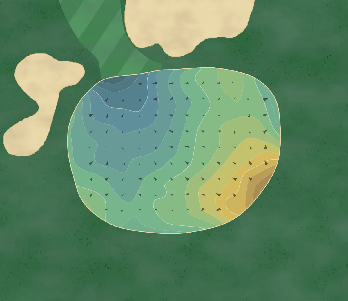 Green contour map of Wachesaw East in Myrtle Beach, South Carolina — 44 elevation contours at a 3-inch interval with fall-line arrows, traced from 1-meter lidar