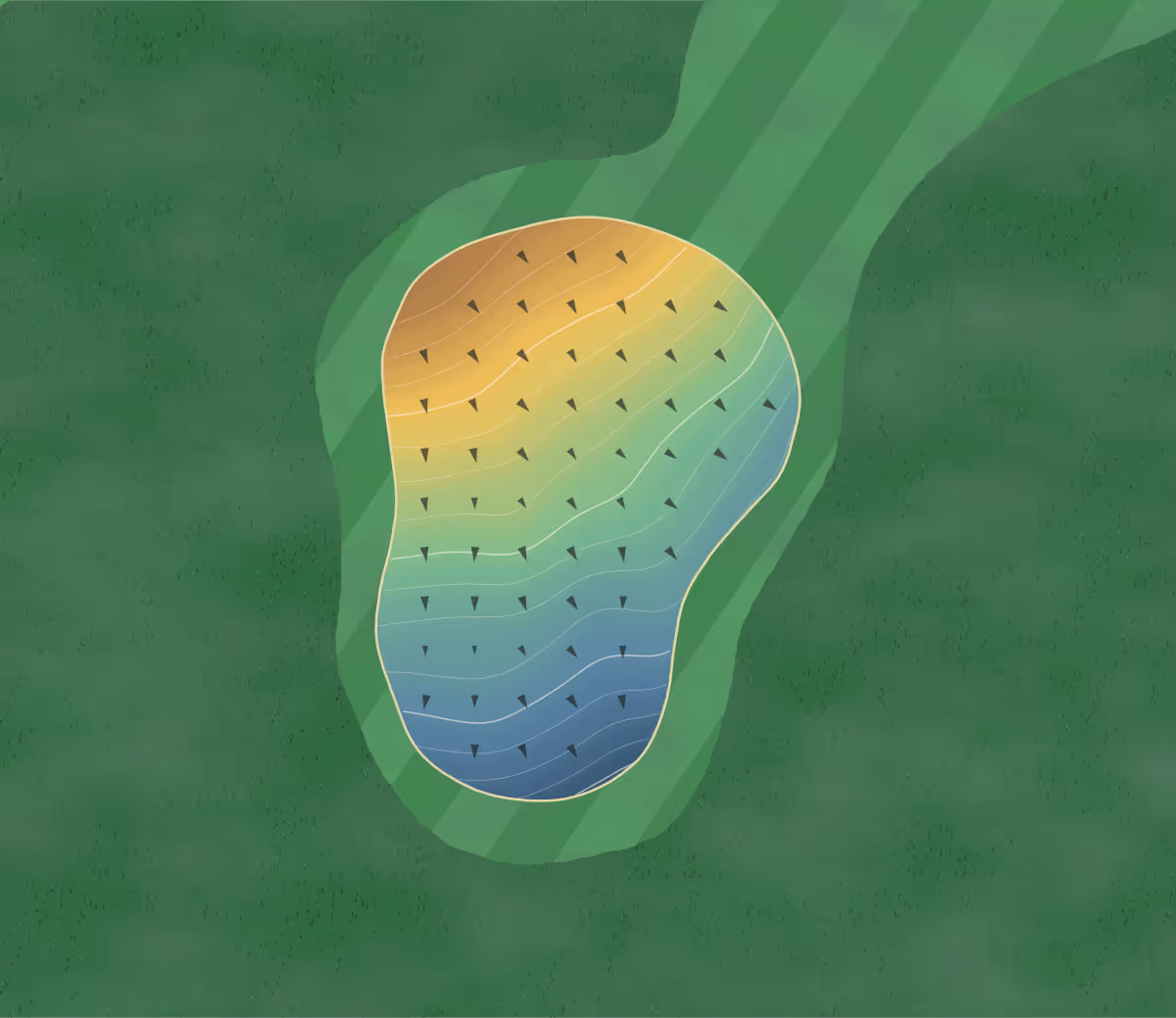 Green contour map of Waiheke Island in Auckland, New Zealand — 116 elevation contours at a 8-centimeter interval with fall-line arrows, traced from 1-meter lidar