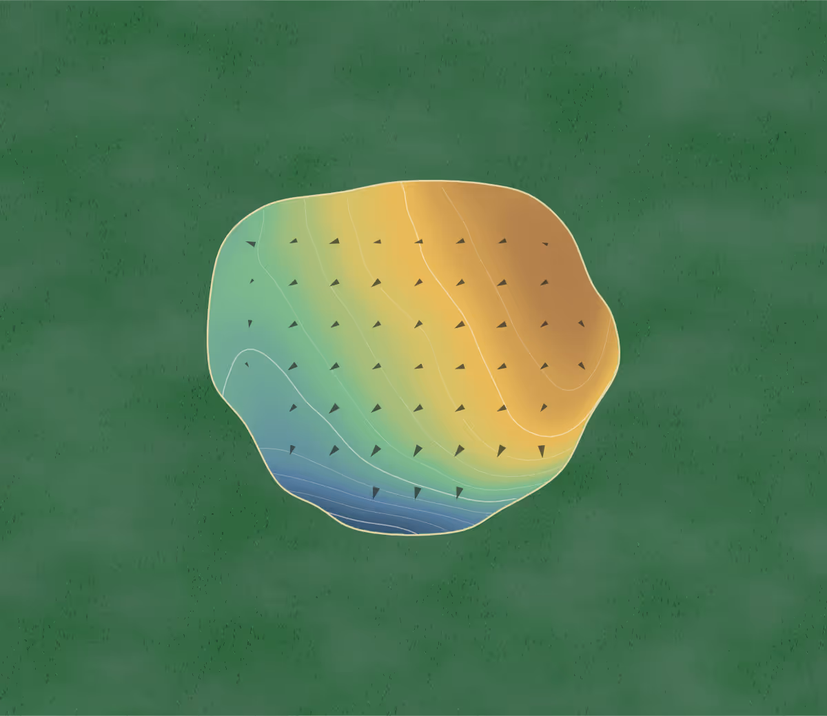 Green contour map of Waikare in Te Kauwhata, New Zealand — 11 elevation contours at a 8-centimeter interval with fall-line arrows, traced from 1-meter lidar