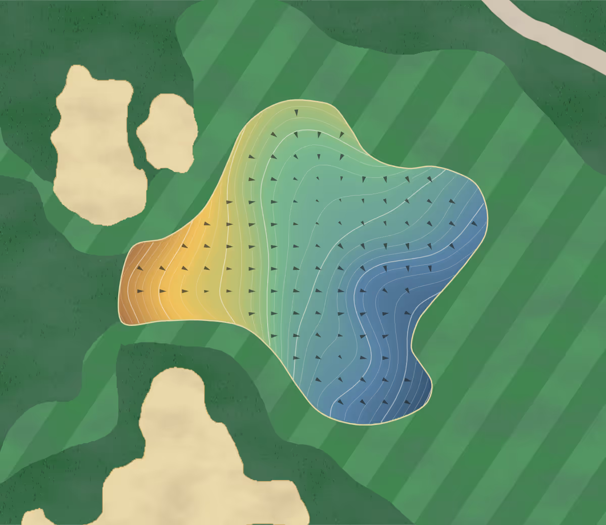 Green contour map of Wainui in Wainui, New Zealand — 252 elevation contours at a 8-centimeter interval with fall-line arrows, traced from 1-meter lidar