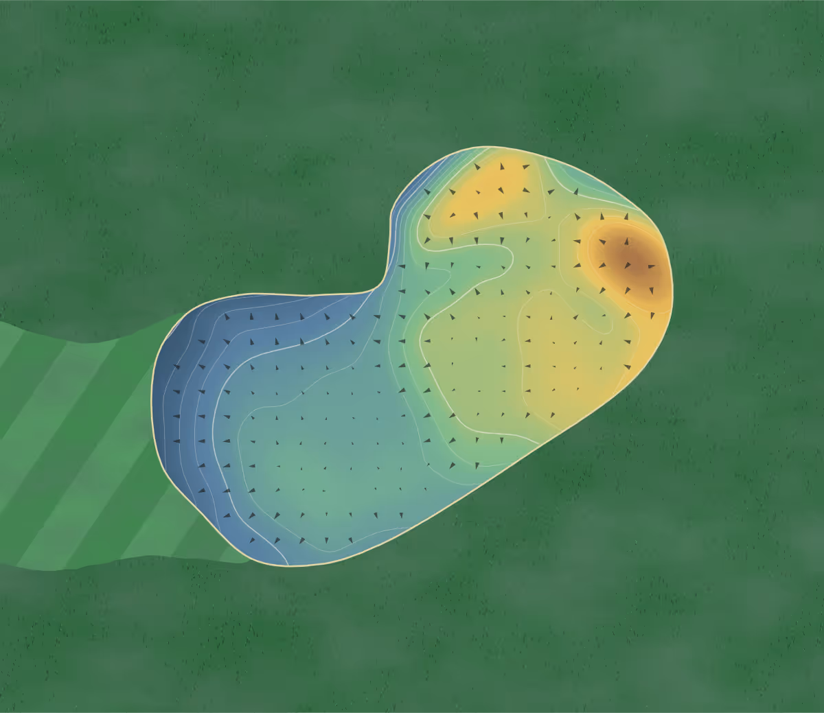 Green contour map of Wainwright in Wainwright, Canada — 139 elevation contours at a 8-centimeter interval with fall-line arrows, traced from 1-meter lidar