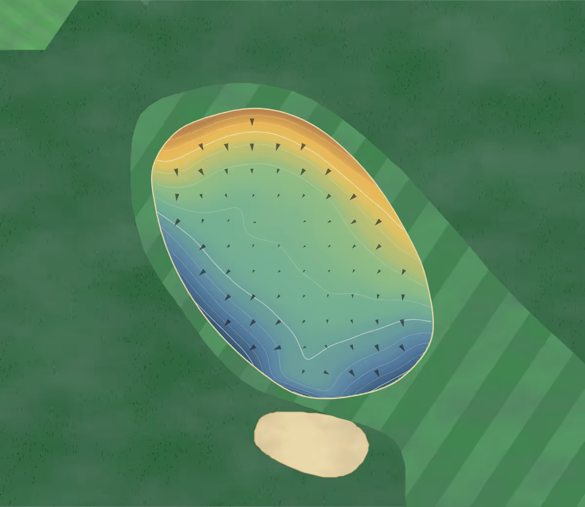 Green contour map of Waitangi in Waitangi, New Zealand — 146 elevation contours at a 8-centimeter interval with fall-line arrows, traced from 1-meter lidar