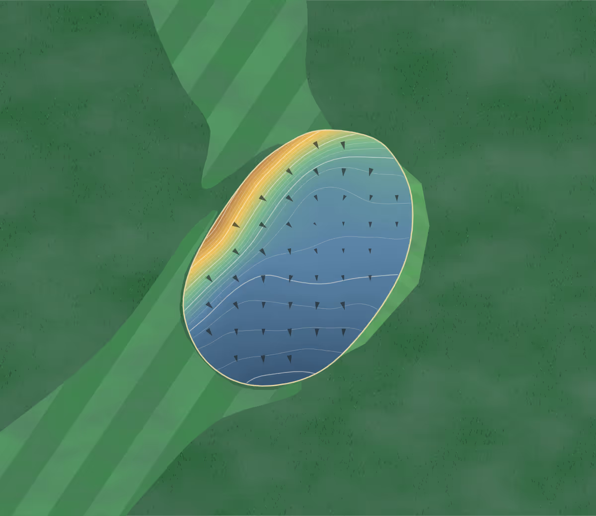 Green contour map of Waitoa Park in Deborah, New Zealand: 66 elevation contours at a 8-centimeter interval with fall-line arrows, traced from 1-meter lidar