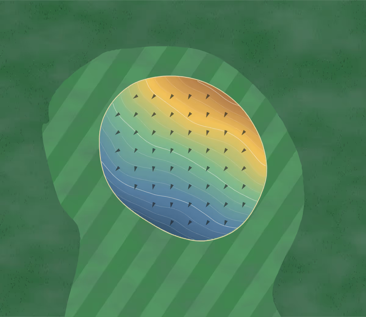 Green contour map of Waldron in Waldron, Arkansas: 79 elevation contours at a 3-inch interval with fall-line arrows, traced from 1-meter lidar