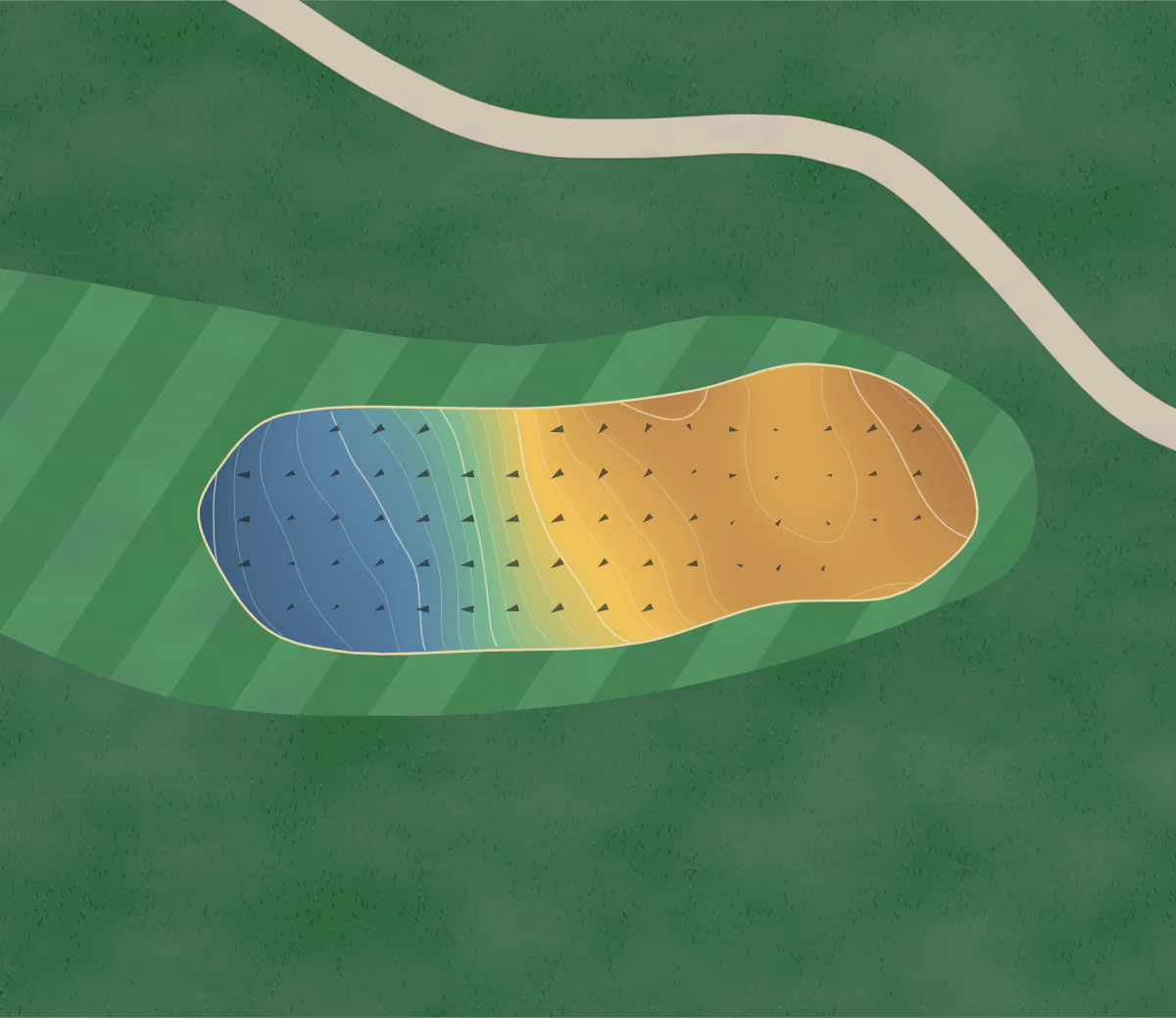 Green contour map of The Walker in Clemson, South Carolina: 141 elevation contours at a 3-inch interval with fall-line arrows, traced from 1-meter lidar