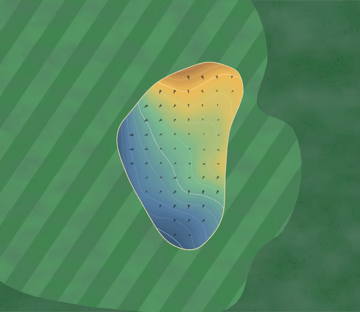 Green contour map of Walker Course, The in Clemson, South Carolina — 23 elevation contours at a 3-inch interval with fall-line arrows, traced from 1-meter lidar
