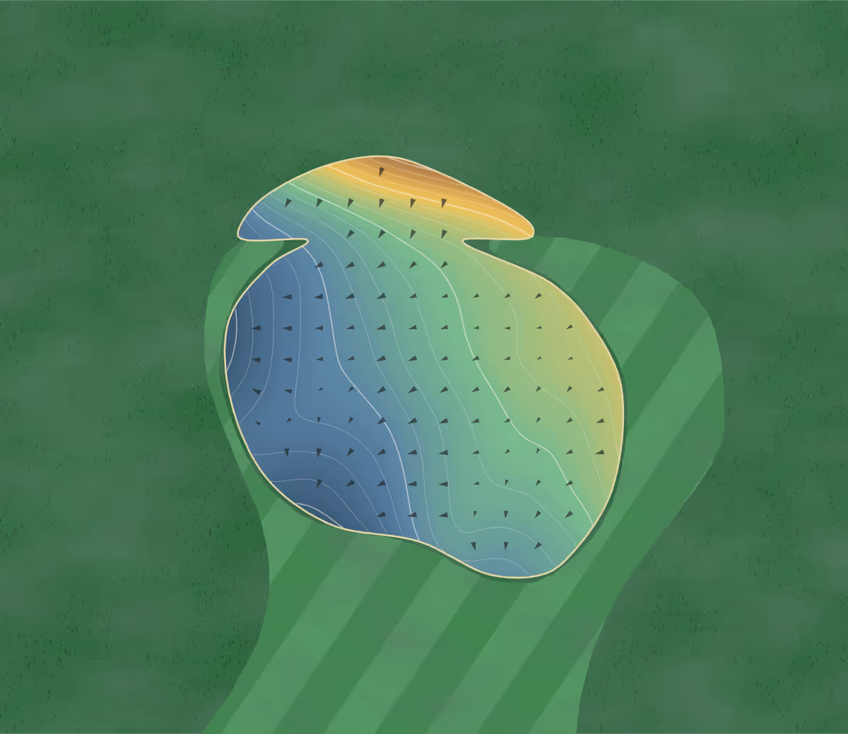 Green contour map of Walloon Lake in Petoskey, Michigan: 249 elevation contours at a 3-inch interval with fall-line arrows, traced from 1-meter lidar