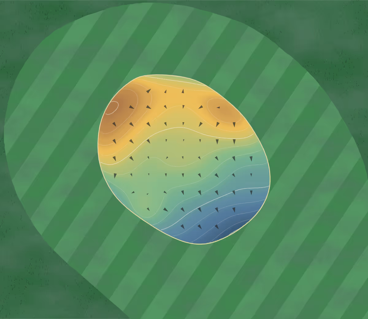 Green contour map of Walsenburg in Walsenburg, Colorado: 93 elevation contours at a 3-inch interval with fall-line arrows, traced from 1-meter lidar