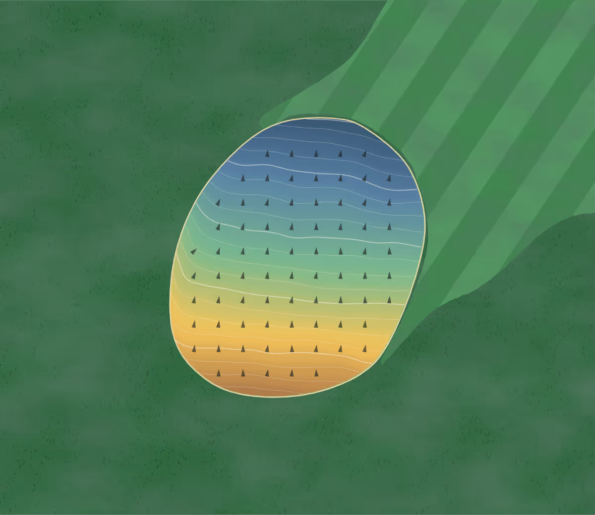 Green contour map of Walsh in La Crosse, Wisconsin: 105 elevation contours at a 3-inch interval with fall-line arrows, traced from 1-meter lidar