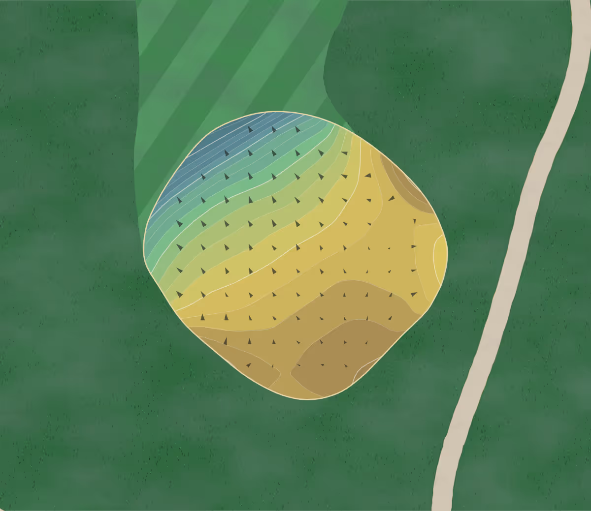 Green contour map of Wampatuck CC in Canton, Massachusetts — 120 elevation contours at a 3-inch interval with fall-line arrows, traced from 1-meter lidar