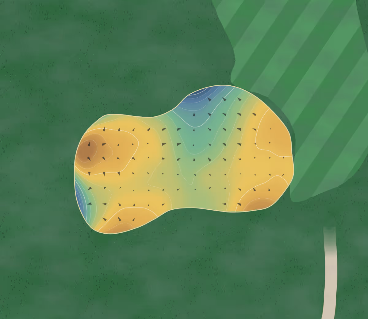 Green contour map of Wanaka in Wānaka, New Zealand — 199 elevation contours at a 8-centimeter interval with fall-line arrows, traced from 1-meter lidar