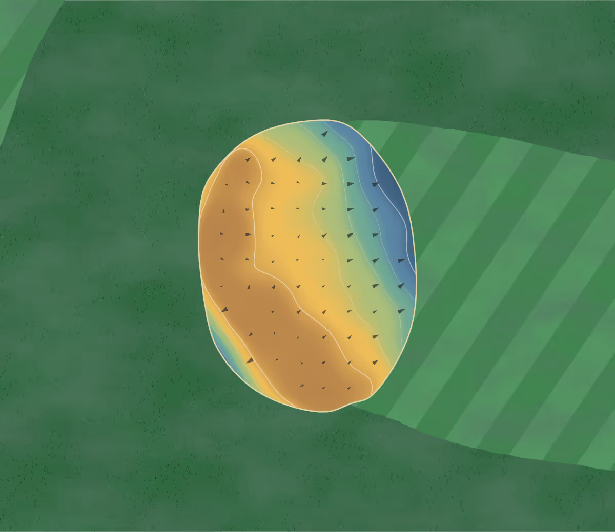 Green contour map of Warfield Greens in Armada, Michigan — 41 elevation contours at a 3-inch interval with fall-line arrows, traced from 1-meter lidar