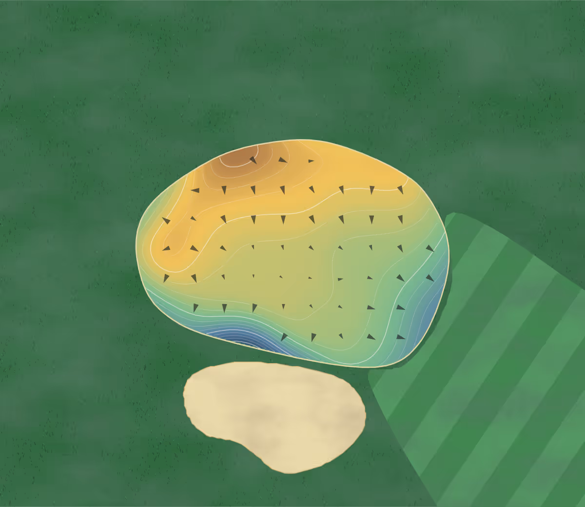 Green contour map of Warren in Notre Dame, Indiana: 226 elevation contours at a 3-inch interval with fall-line arrows, traced from 1-meter lidar