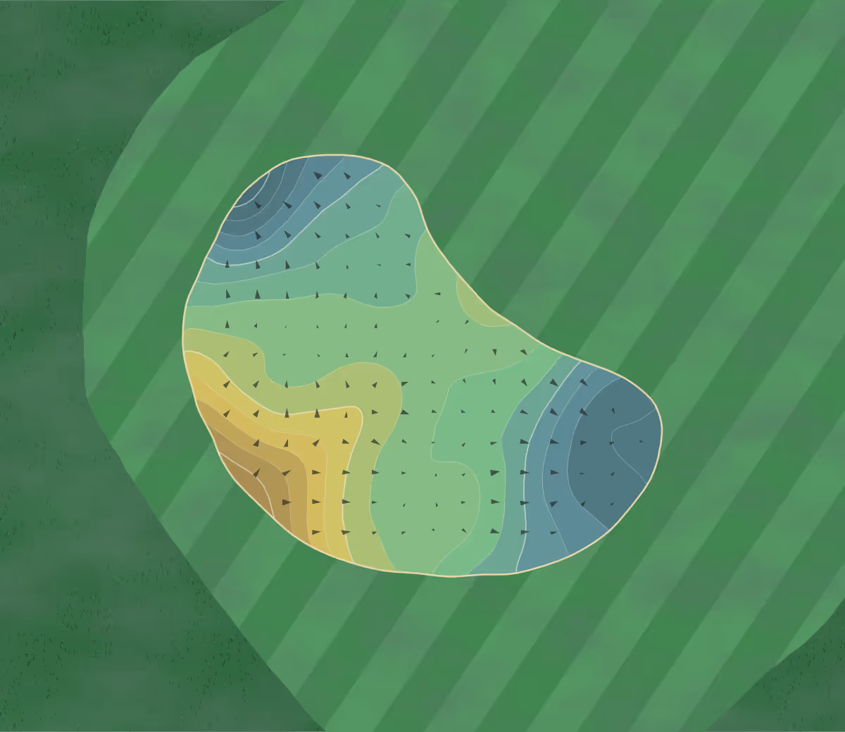 Green contour map of Washington National in Auburn, Washington — 198 elevation contours at a 3-inch interval with fall-line arrows, traced from 1-meter lidar