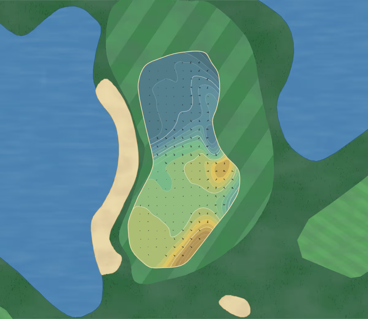 Green contour map of Wassenaarse in TZ Wassenaar, Netherlands — 144 elevation contours at a 8-centimeter interval with fall-line arrows, traced from 1-meter lidar