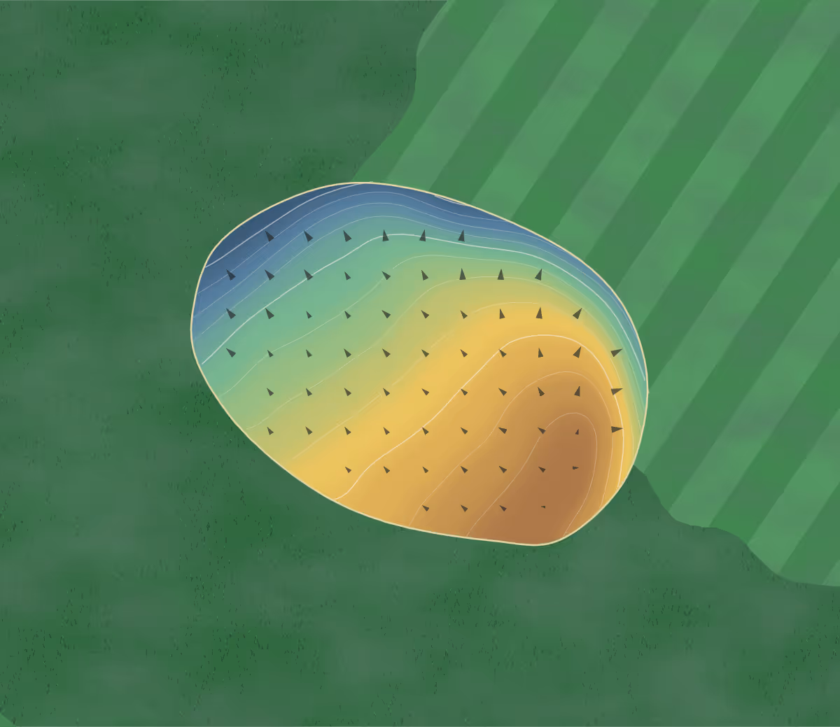 Green contour map of Water Park in Wainfleet, Canada: 96 elevation contours at a 8-centimeter interval with fall-line arrows, traced from 1-meter lidar