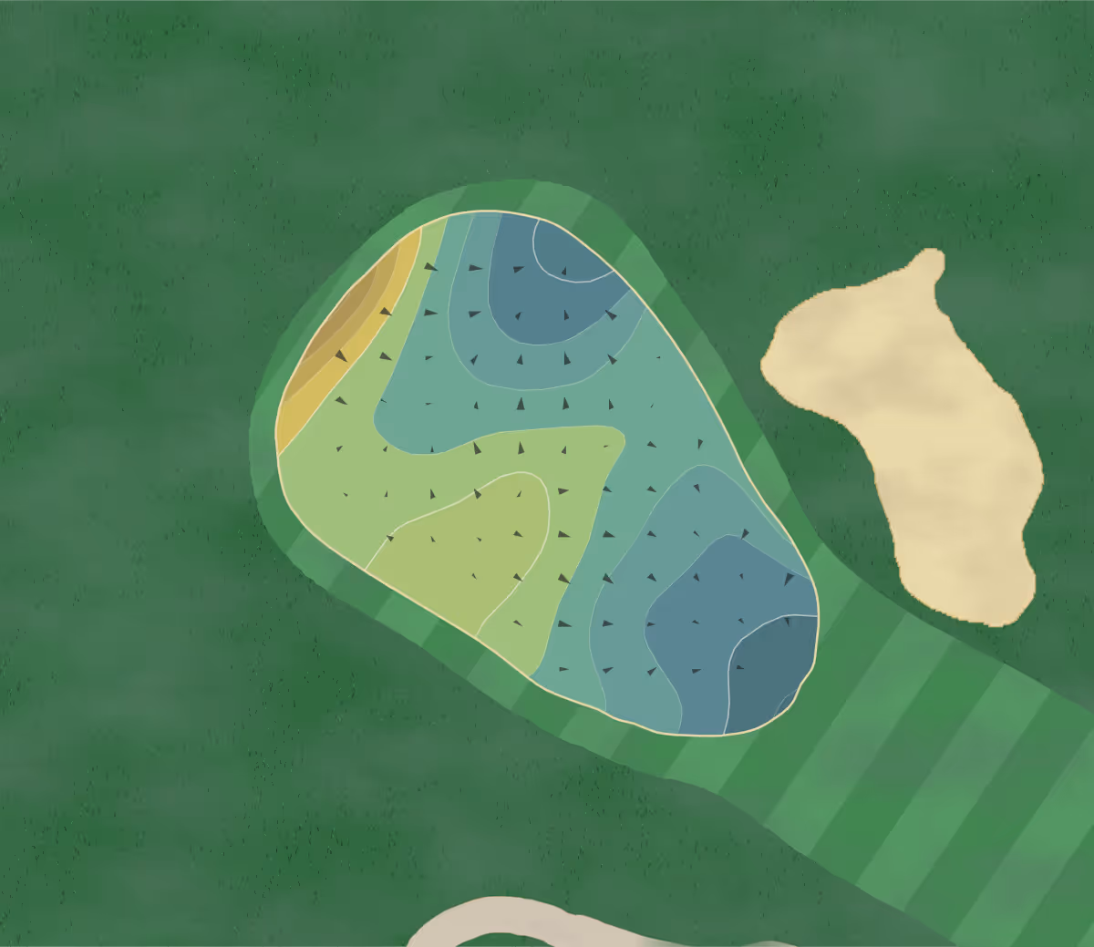 Green contour map of Wayland CC in Wayland, Massachusetts — 157 elevation contours at a 3-inch interval with fall-line arrows, traced from 1-meter lidar